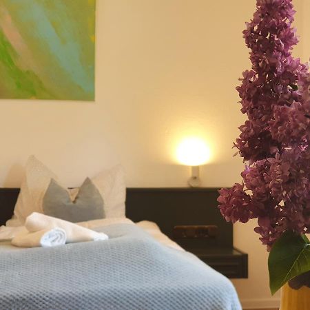 Garni Hotel Biebertal Am Milseburgradweg Хофбибер Экстерьер фото